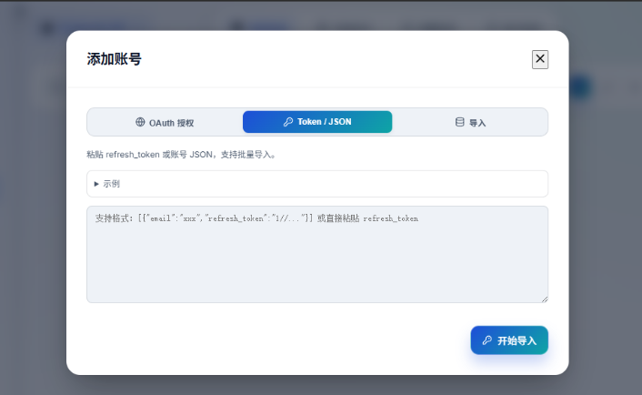 Token / JSON 选项卡