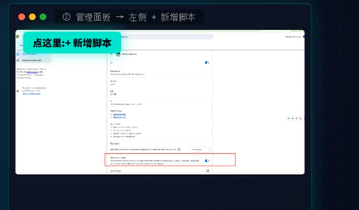 把允许用户脚本开关打开,变绿即生效